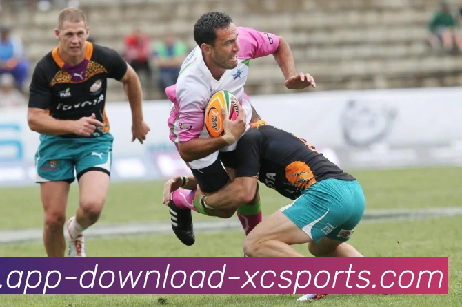 杏彩体育发展历程